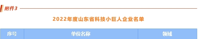 喜訊丨公司榮獲首批山東省科技小巨人企業！